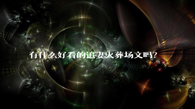 有什么好看的追妻火葬场文吗？