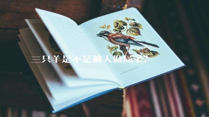 三只羊是不是被人做局了？