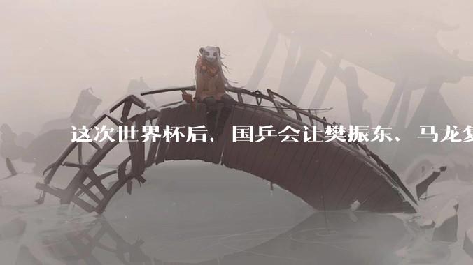 这次世界杯后，国乒会让樊振东、马龙复出吗？